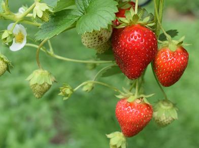 oliver-hale-qse3afwnc48-unsplash